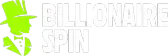billionaire-spin1.com